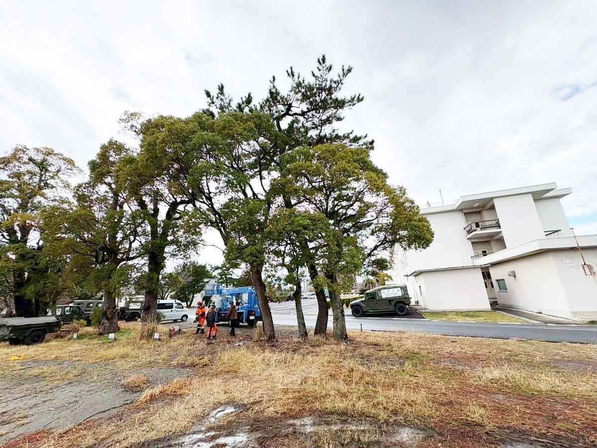 土地造成とはなにか