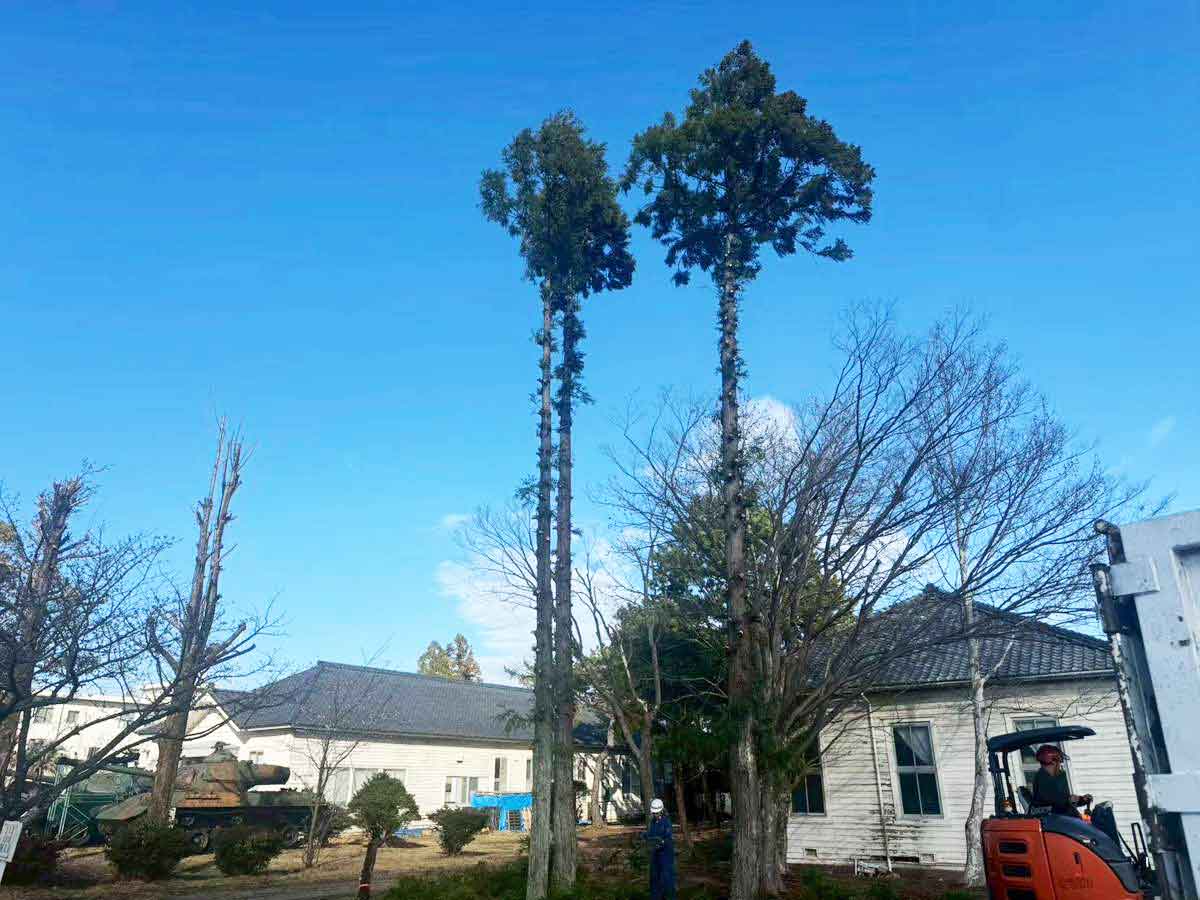 土地工事における相場を調べる