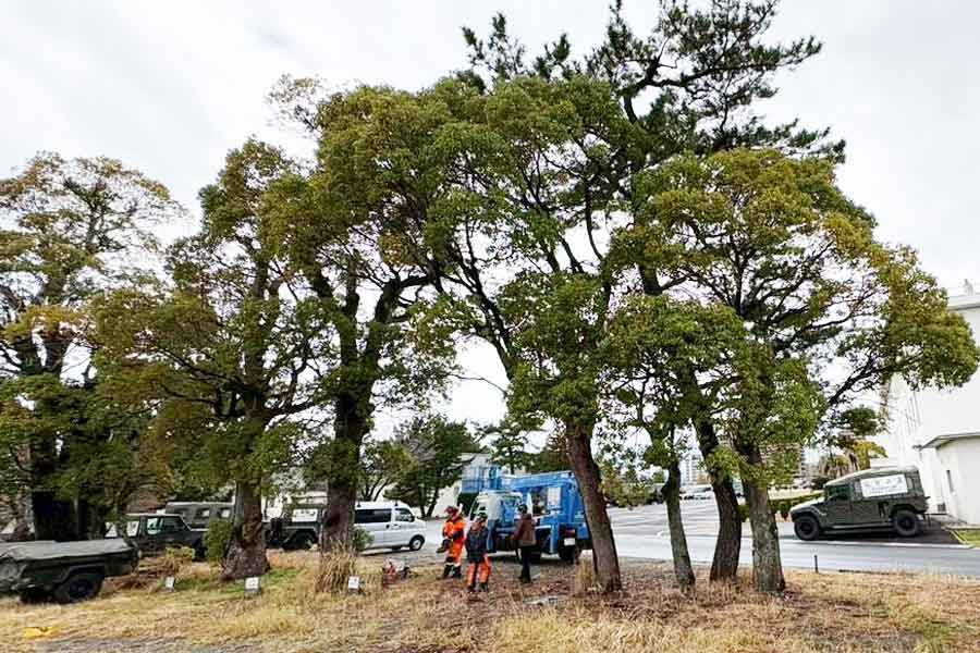 土地造成は近隣の土地も注意が必要です