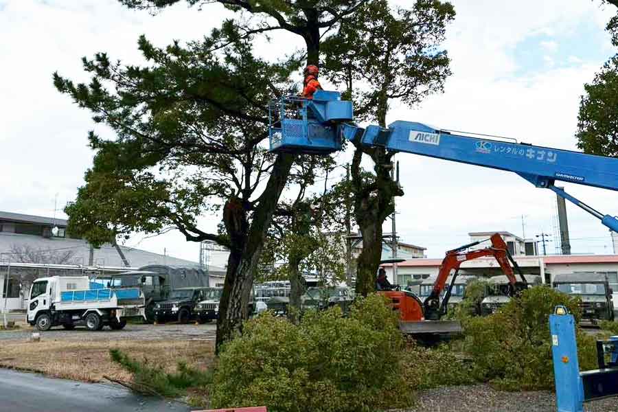 伐根・伐採工事を安全にすすめるために